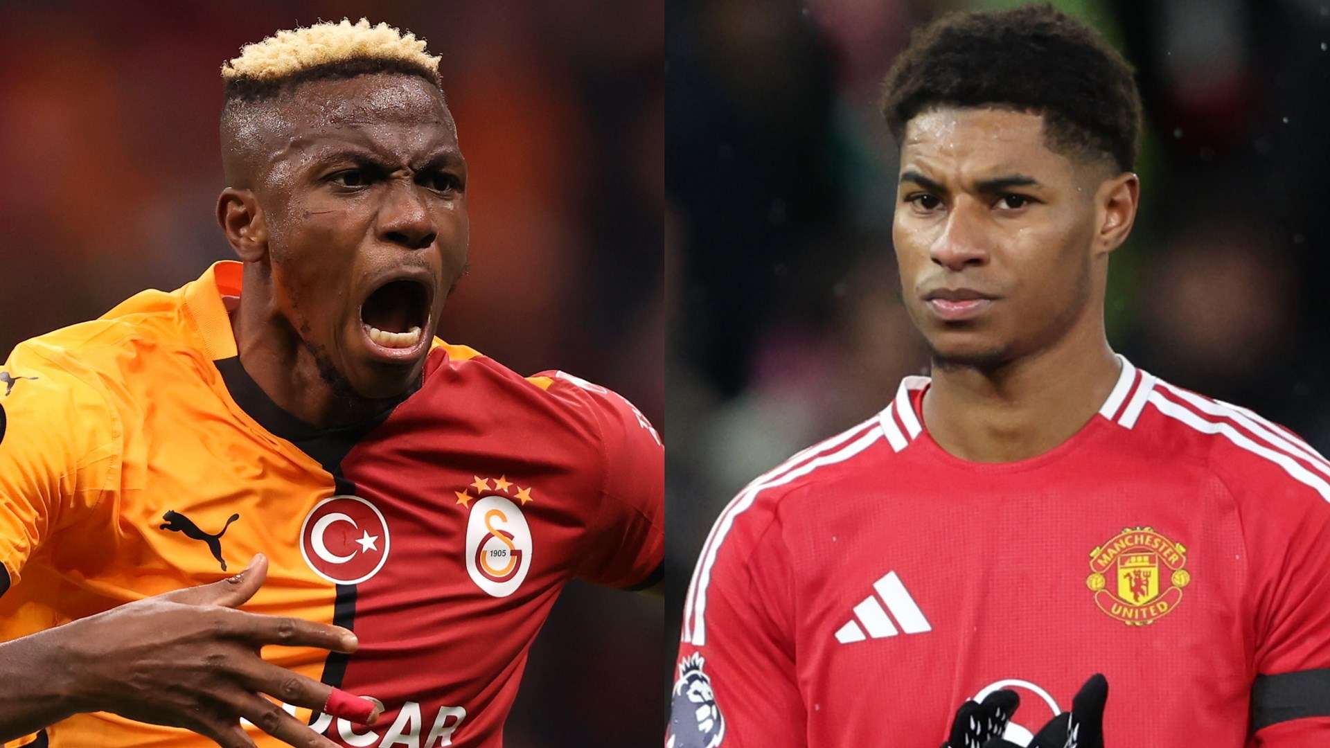 那不勒斯的 那不勒斯的