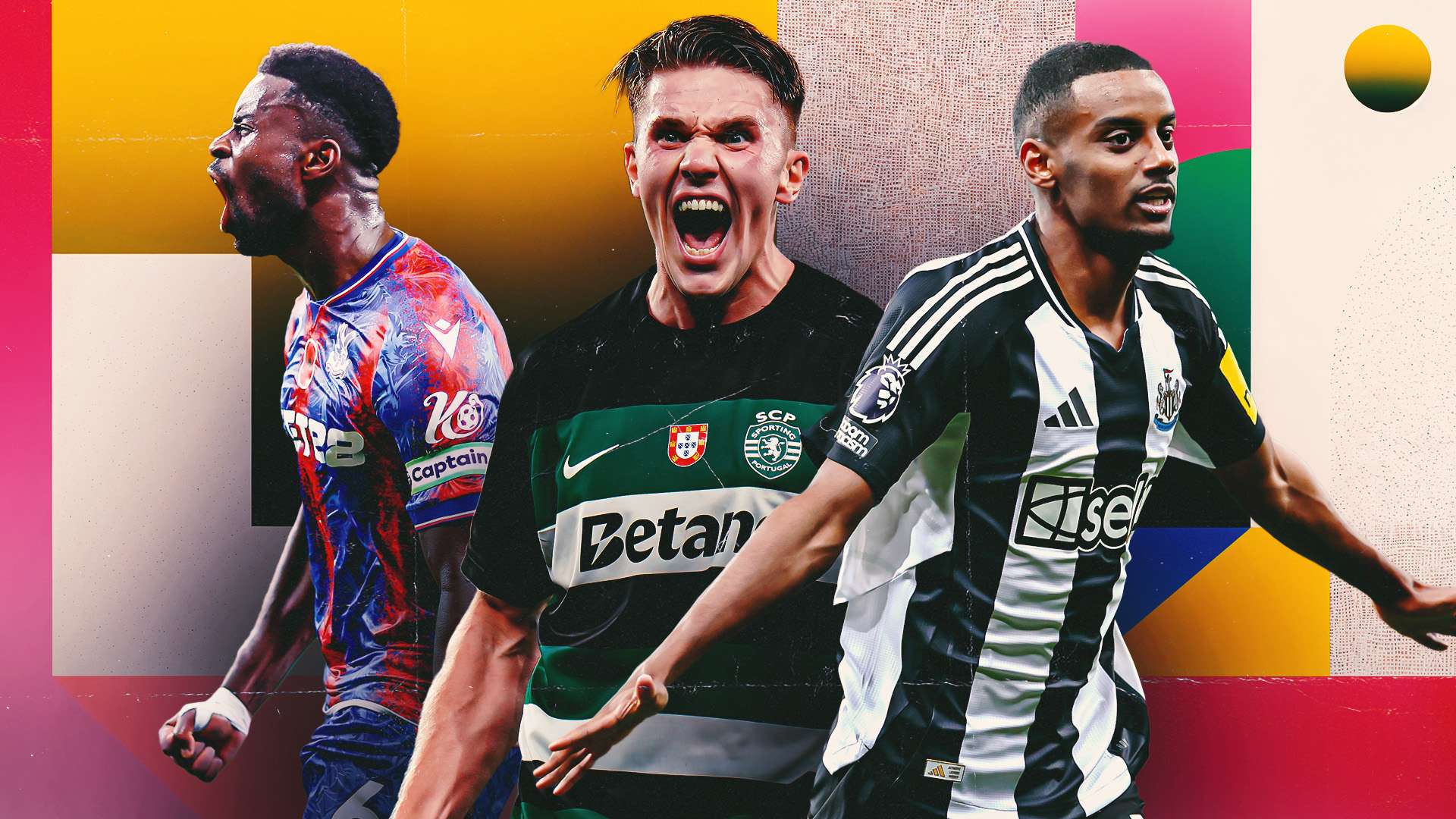 大的市场红 大的市场红