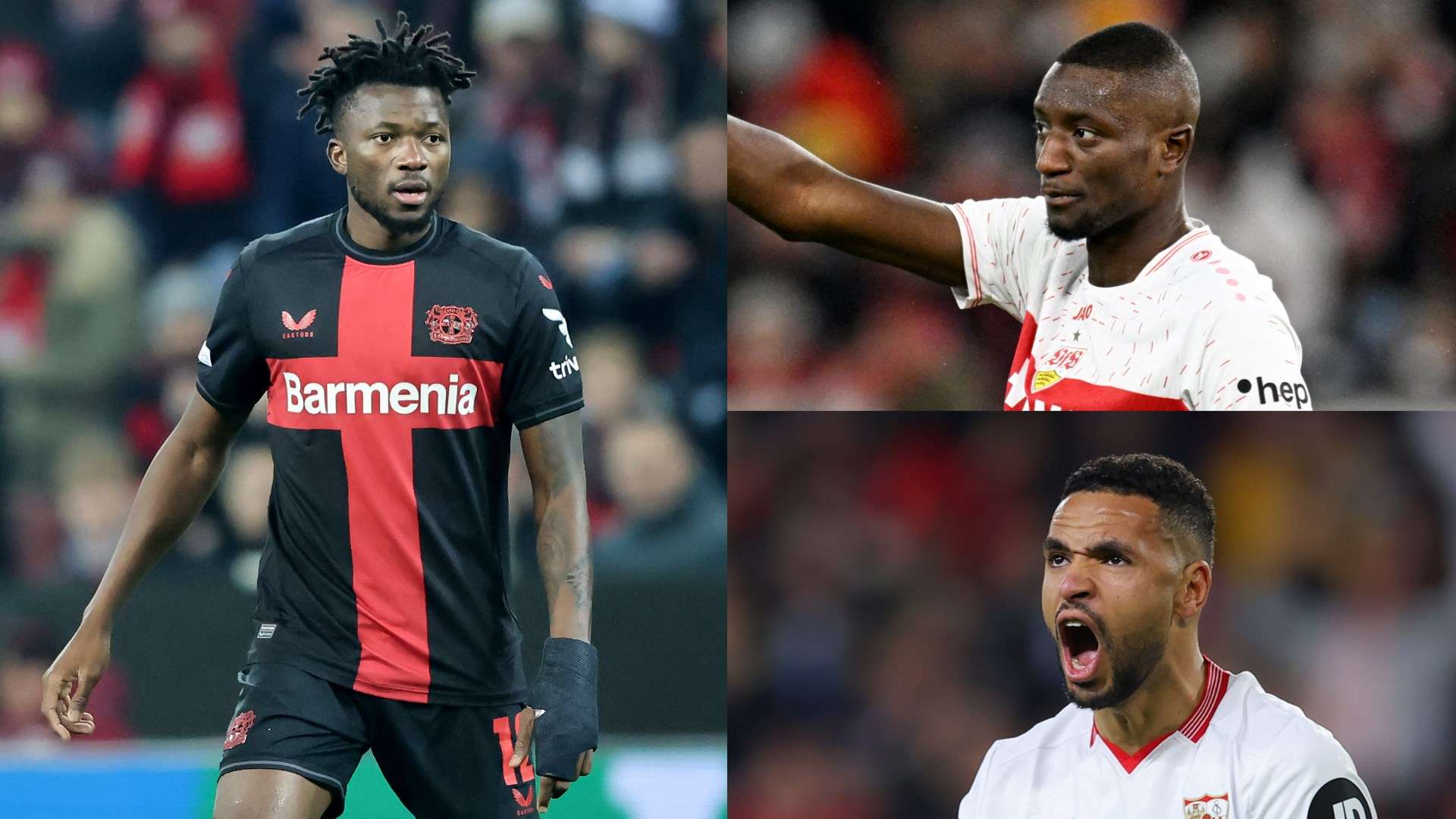 教练智慧的 教练智慧的